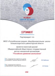 Сертификат "Российское движение школьников"